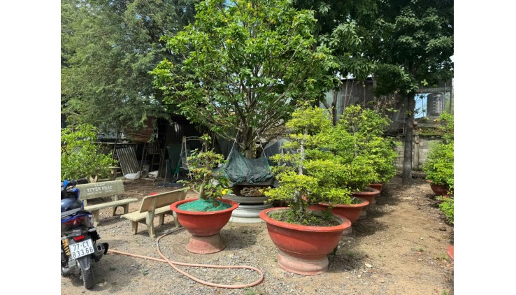 Đất Mặt Tiền Võ Thị Hồi Xuân Thới Đông Hóc Môn DT 4000m2 Chỉ 66 Tỷ